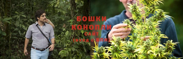 прущие крисы Зерноград
