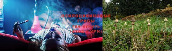 круглые Зеленокумск